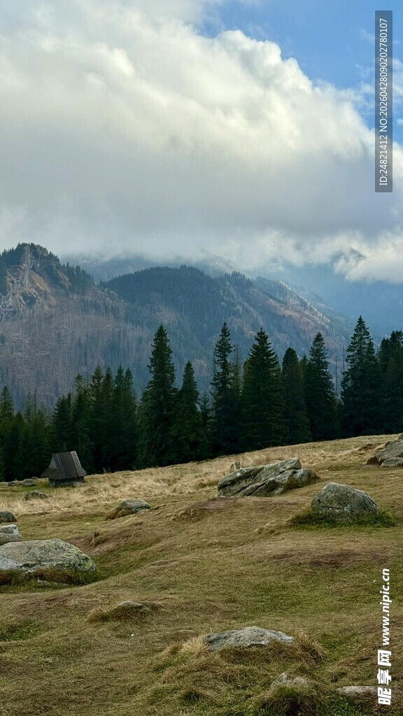 山间草地与远处山林美景