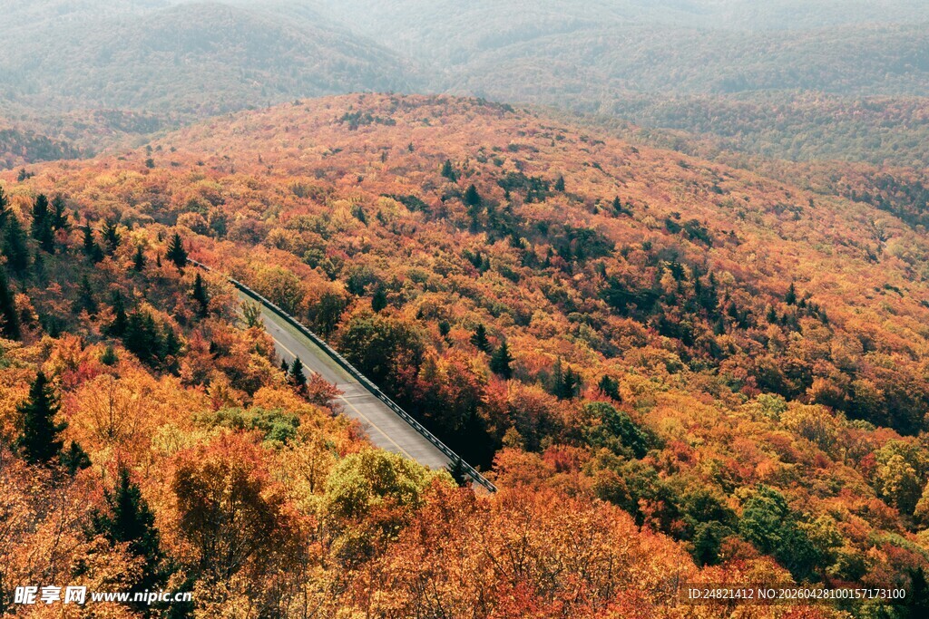 秋日山林间蜿蜒公路美景