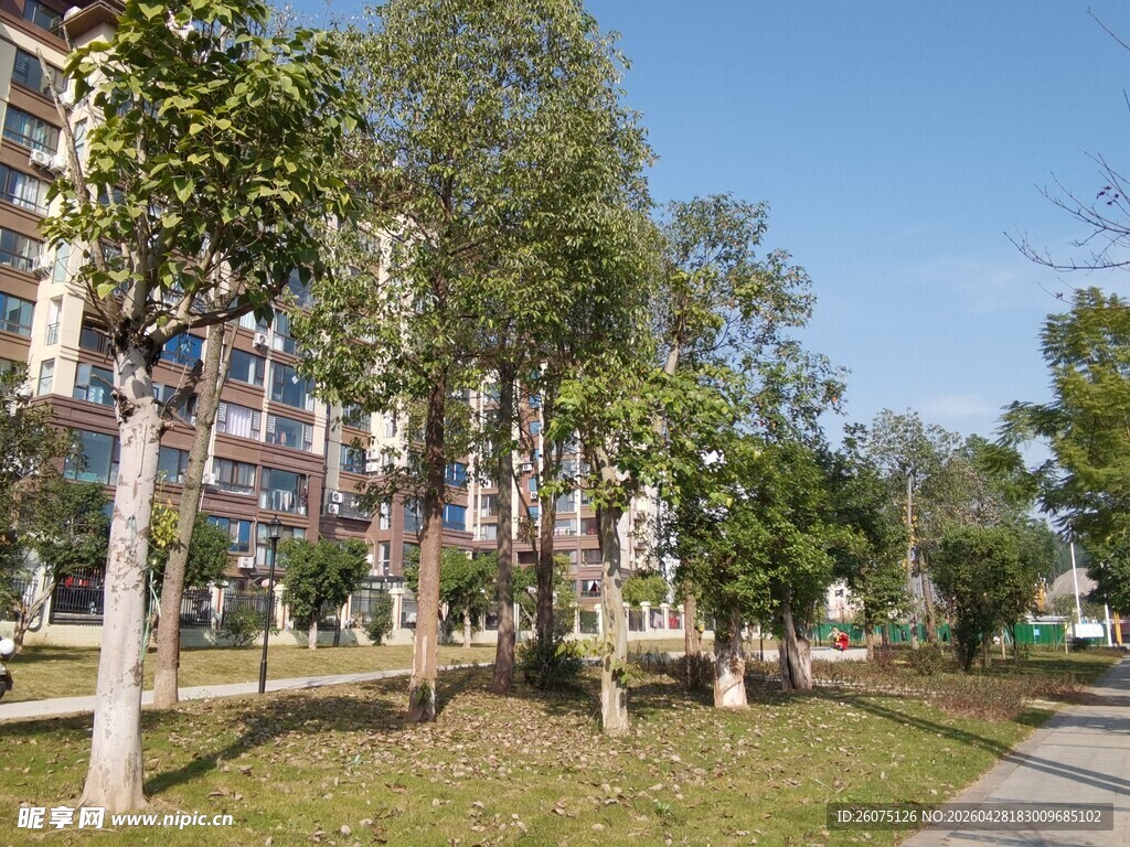 城市公园优美绿化景观