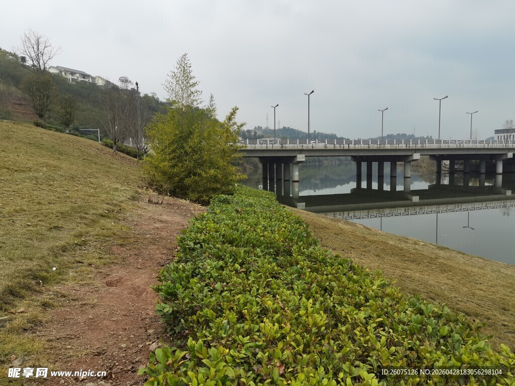 湖畔绿植小径风景