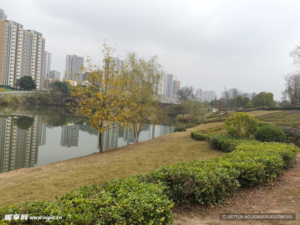 城市河畔风景秀丽