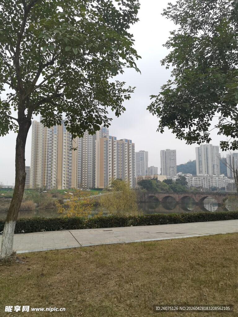城市公园中的树木与建筑