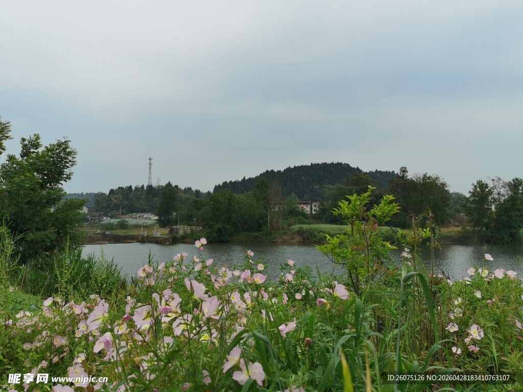湖畔繁花盛开的自然美景