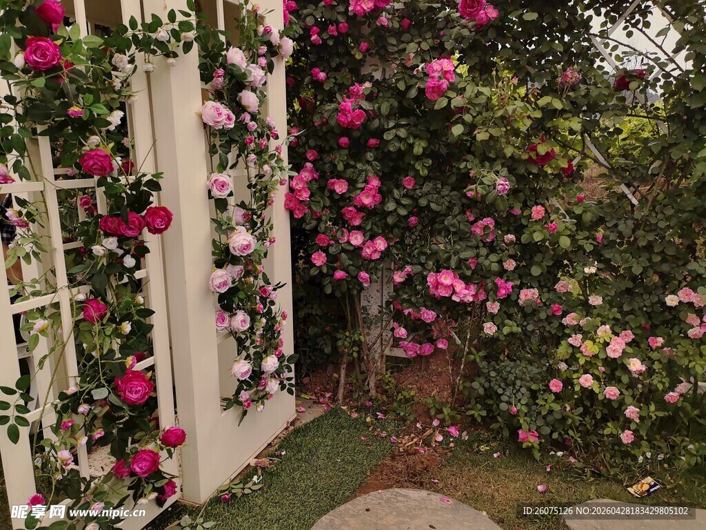 繁花簇拥的花园白色门