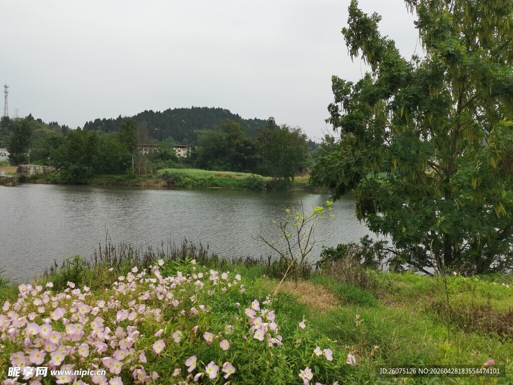 湖畔繁花绿树风景图