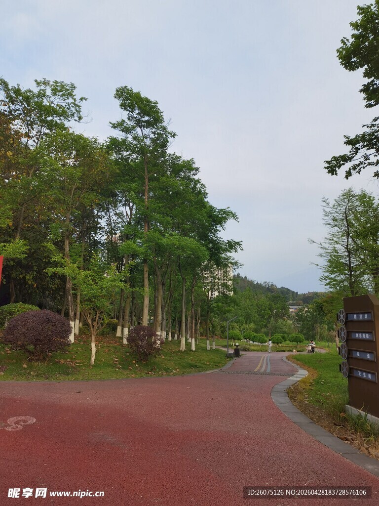 林间红径自然清新景致