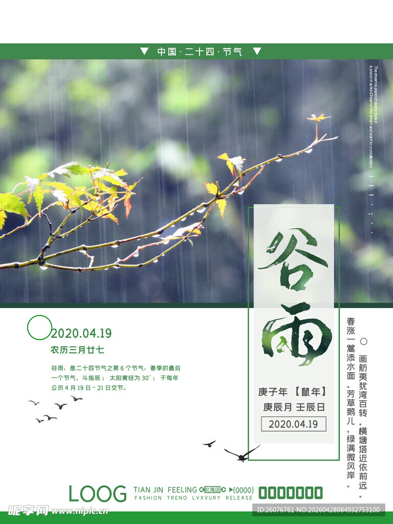 谷雨海报 