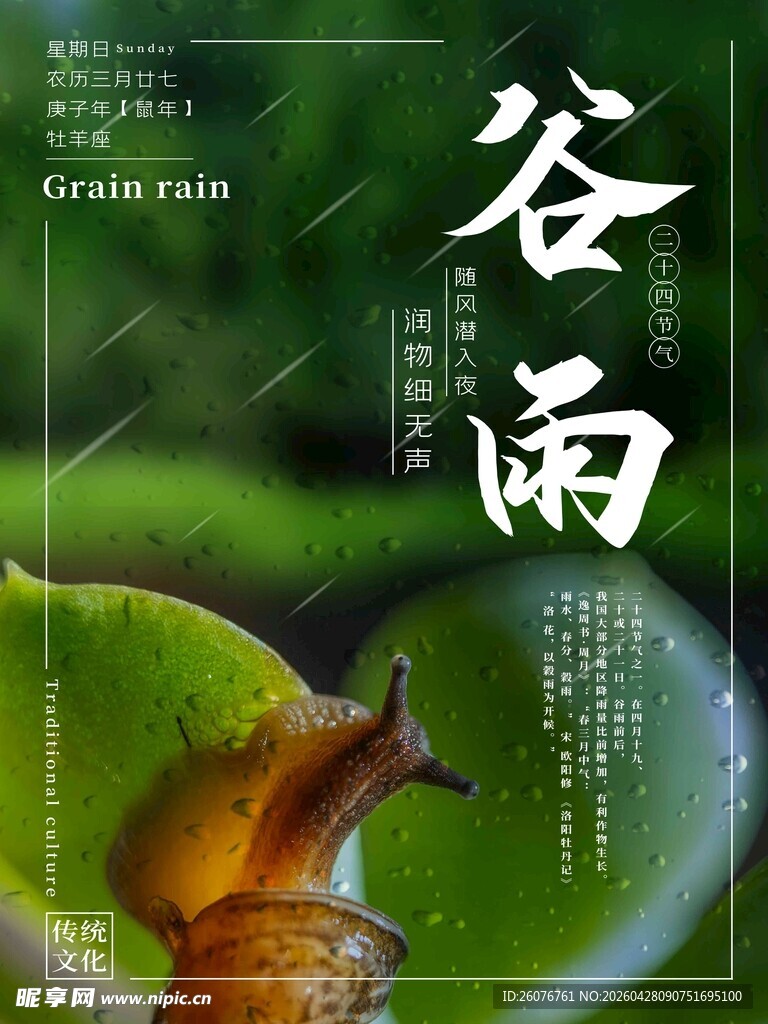 谷雨海报
