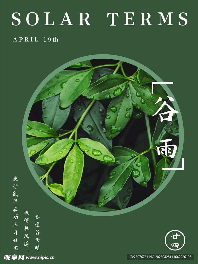 谷雨海报 