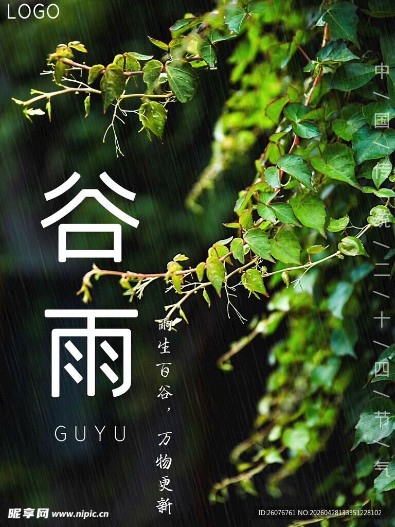 谷雨海报 