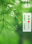 谷雨海报