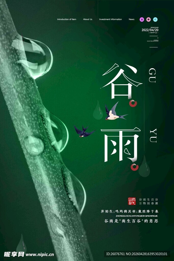 谷雨海报 