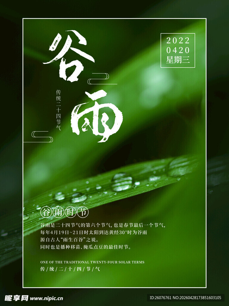 谷雨海报 