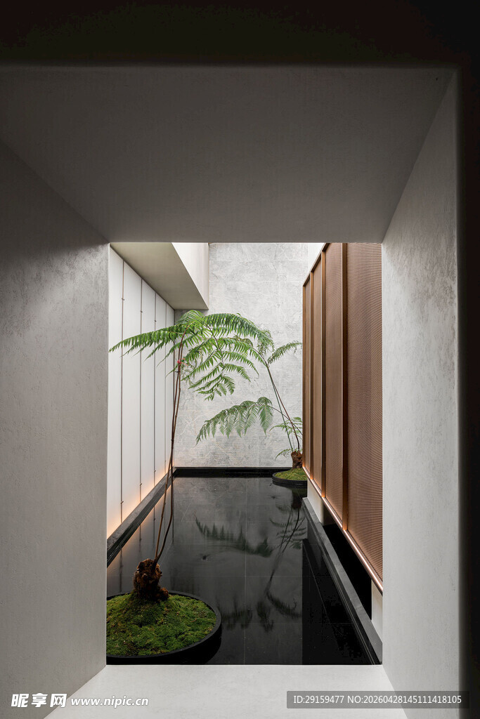 现代简约风室内绿植水景
