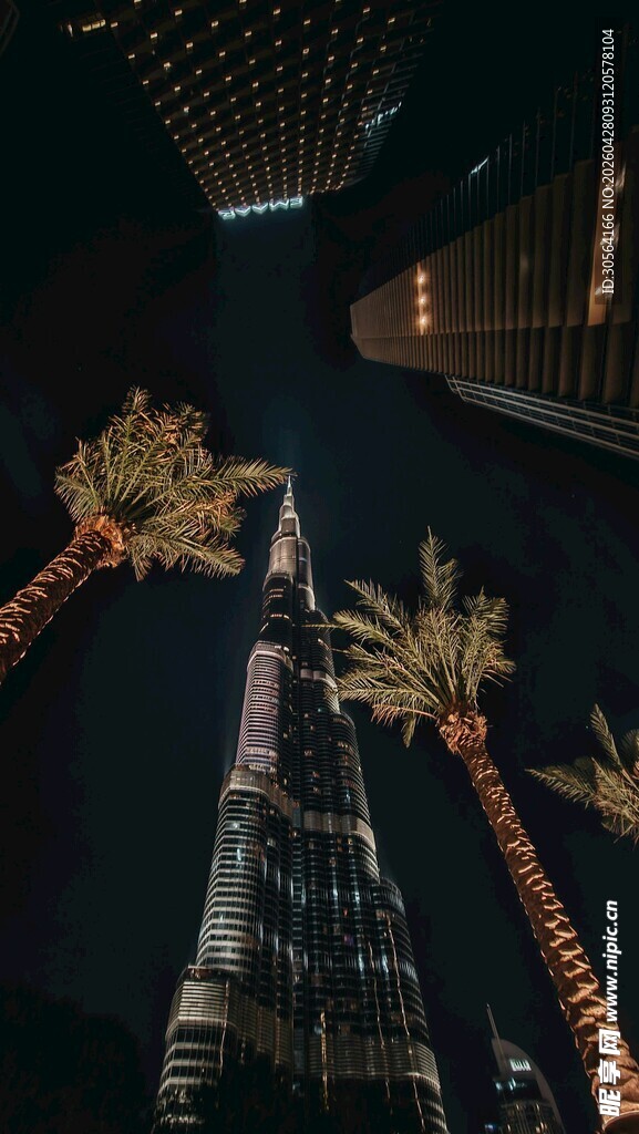 夜幕下的摩天大楼与棕榈树