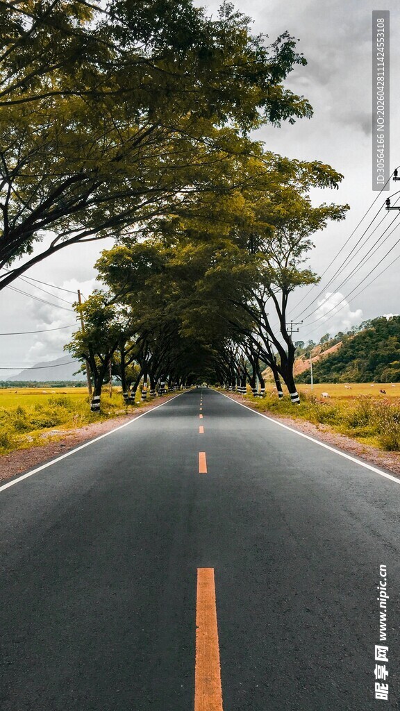 笔直公路伸向远方