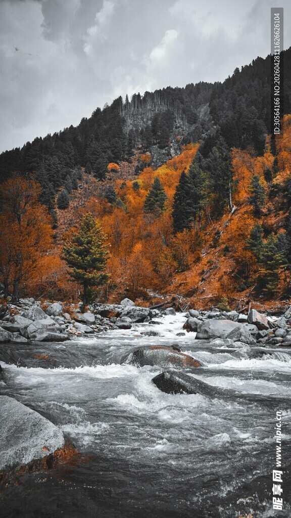 秋日山间湍急河流美景