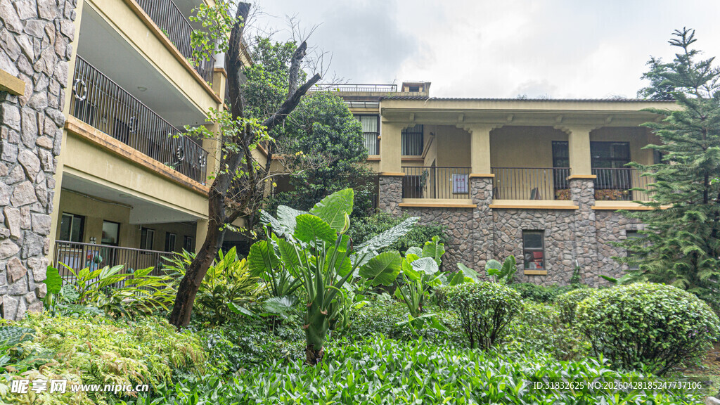 石砌楼房旁的繁茂绿植景观