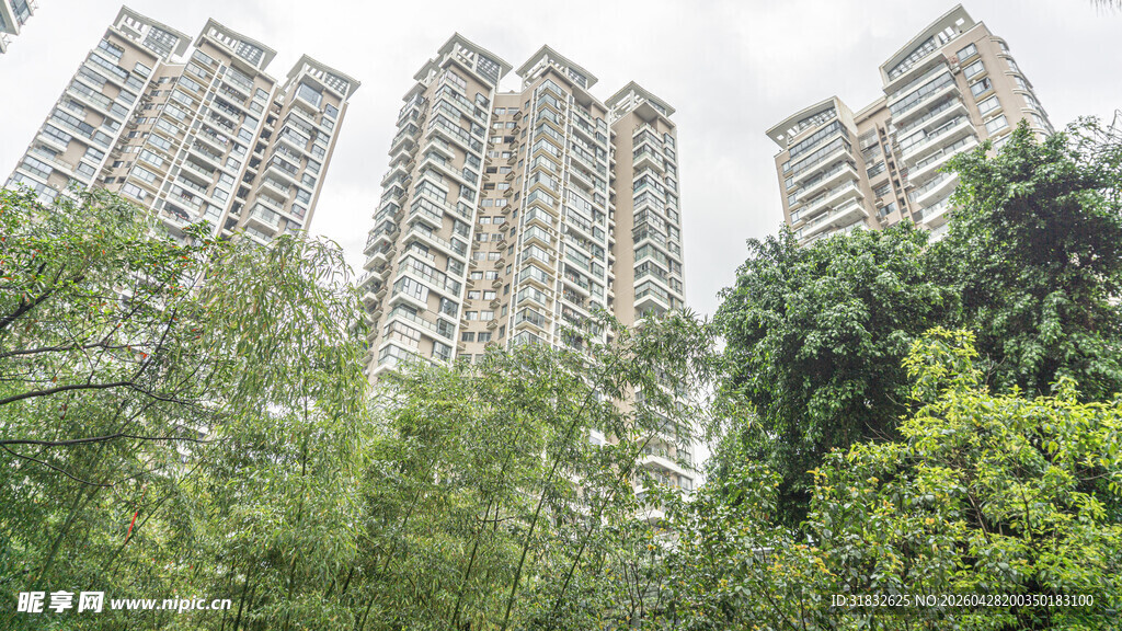 高楼林立间的葱郁绿意