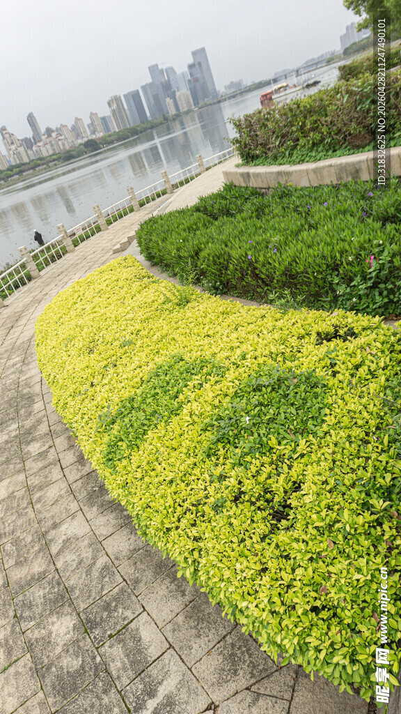 城市河畔多彩绿植景观