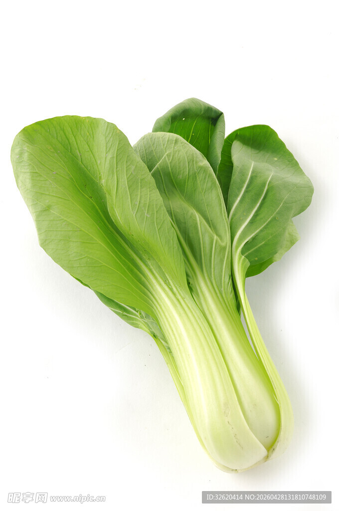 新鲜青菜