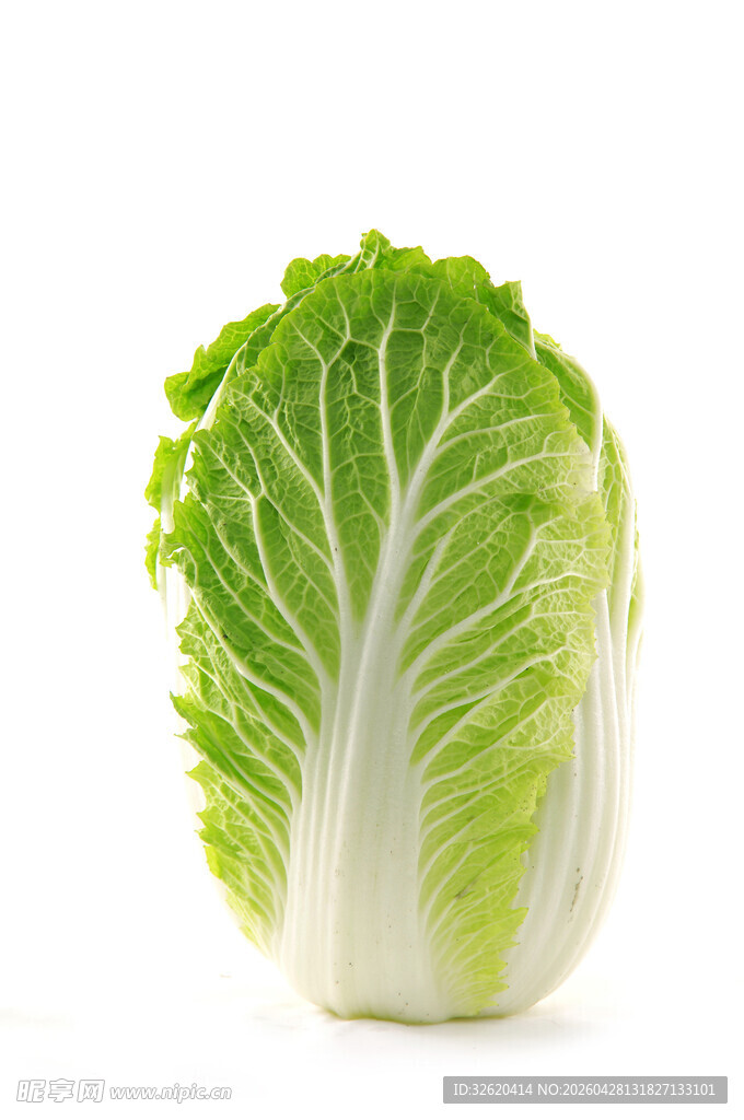 新鲜大白菜
