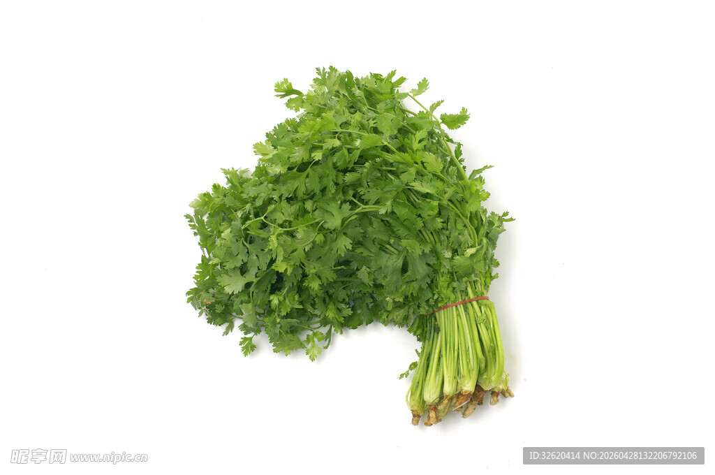 香菜