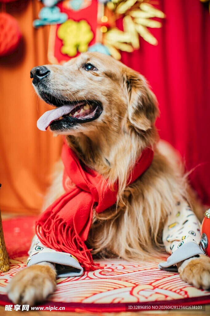 金犬贺岁迎祥