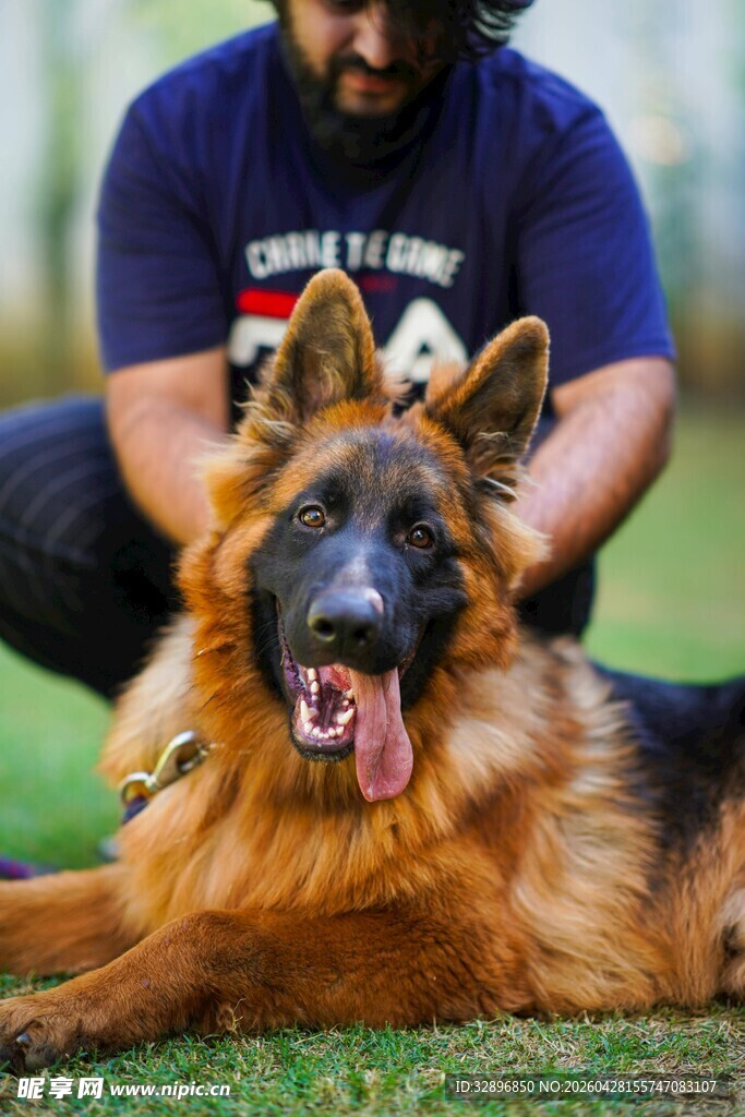 男子与德国牧羊犬惬意时光
