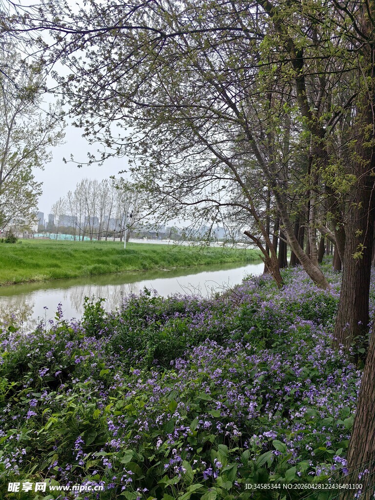 春日河畔树林花草景致