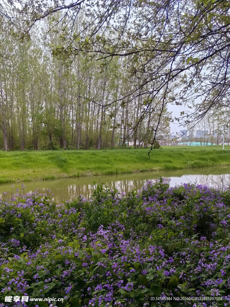 春日繁花似锦的河畔风光