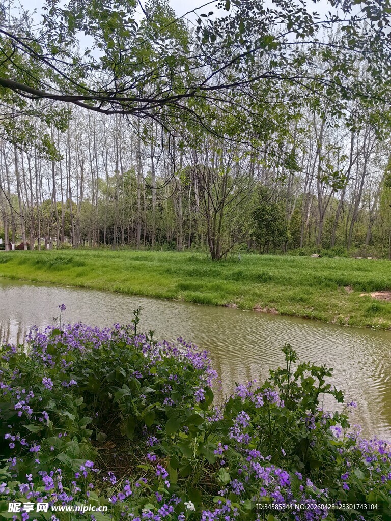 田园河畔美景