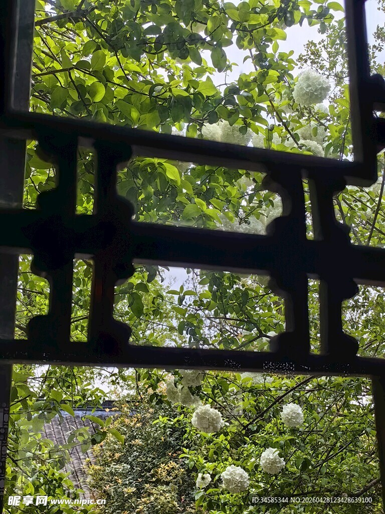 中式窗棂后的绿意景致