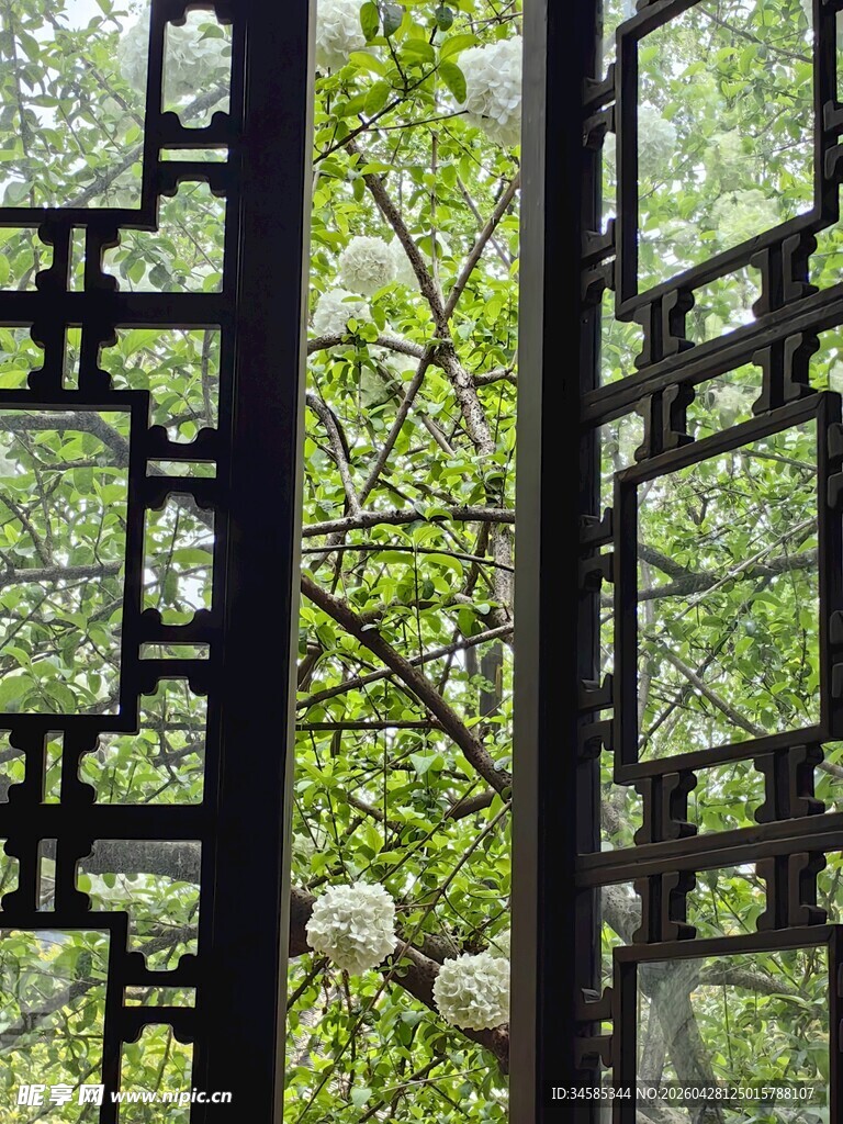 中式窗棂外的绿意景致