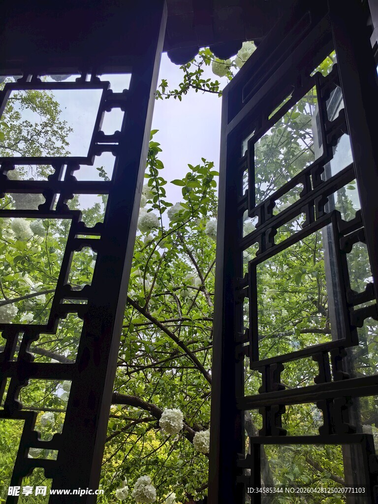 透过镂空窗棂望葱郁树木