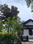 林间小屋