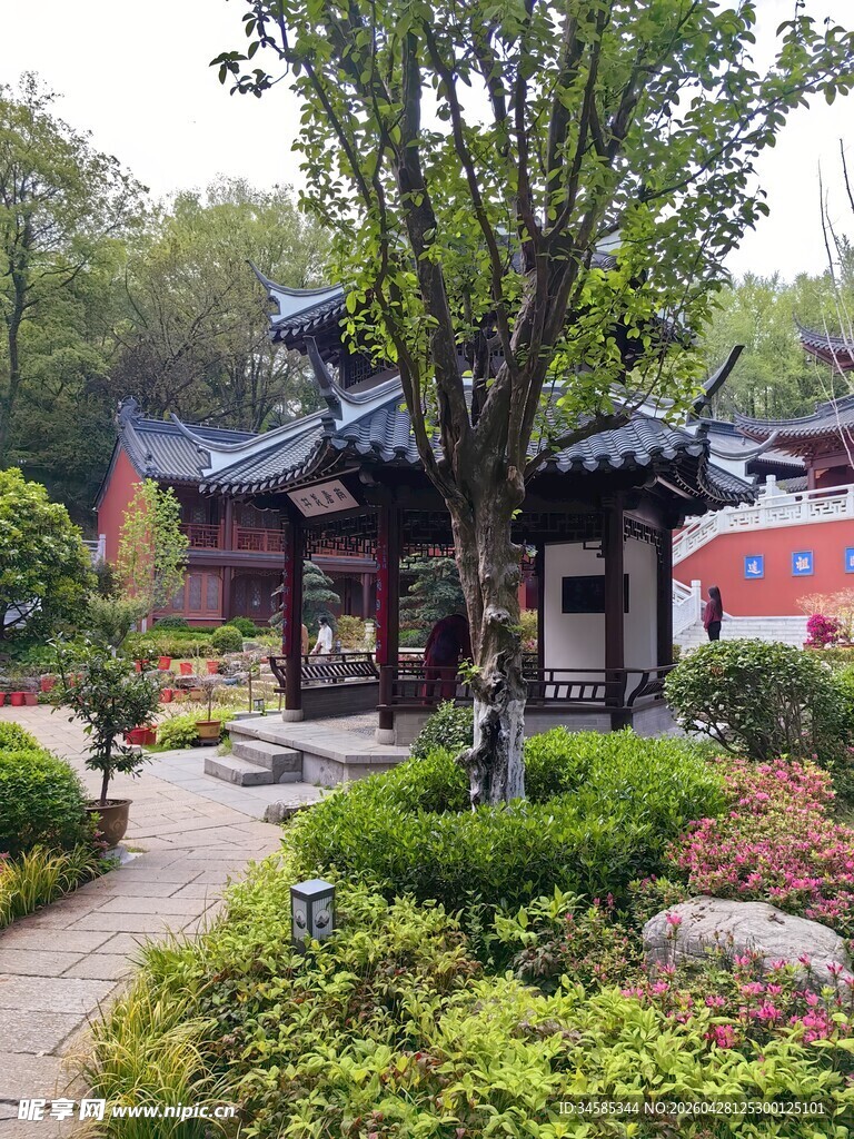中式园林中的古典雅致建筑