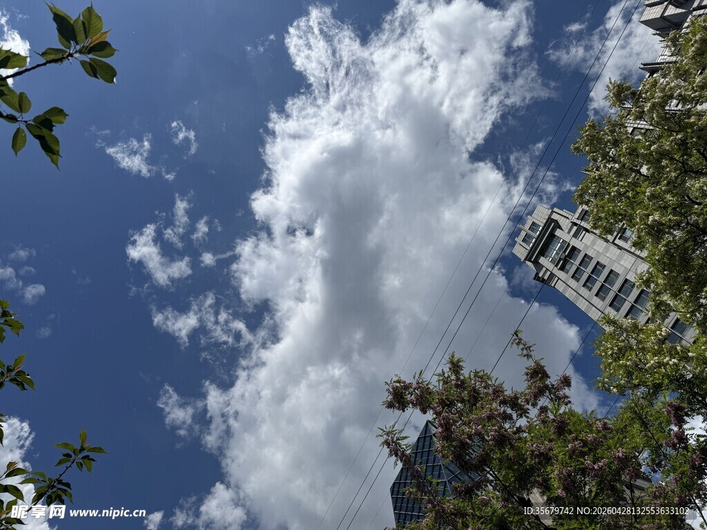 蓝天绿树间的蓬松云朵