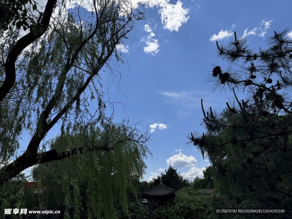 蓝天垂柳下的静谧景致