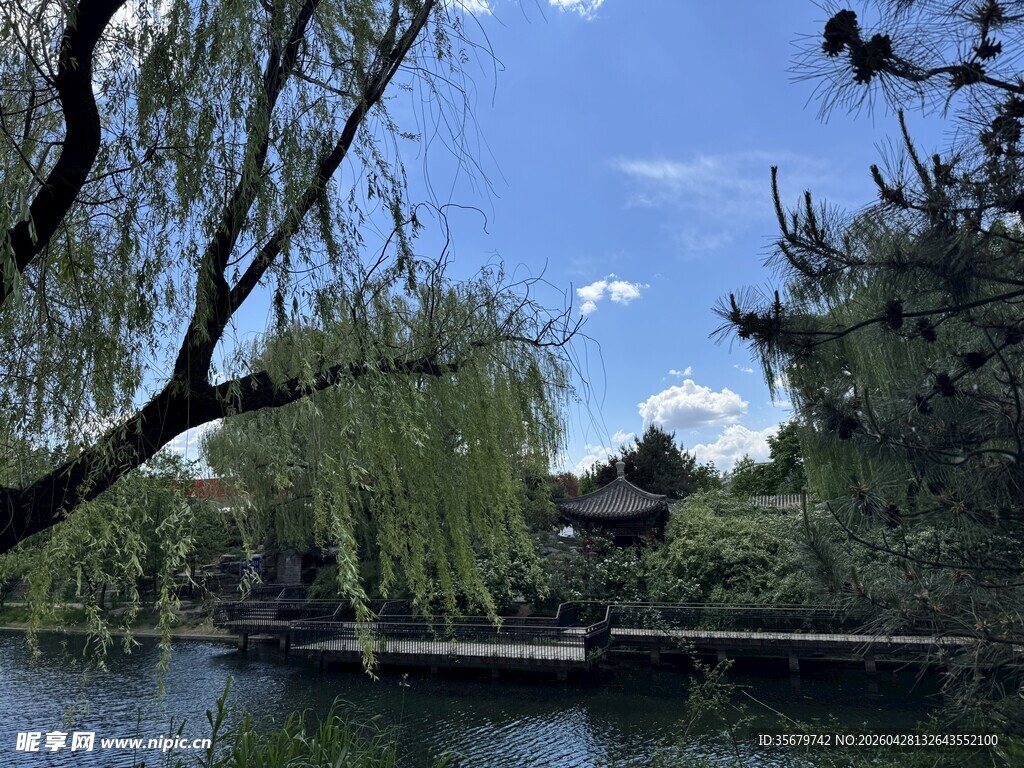 湖畔垂柳下的清幽景致
