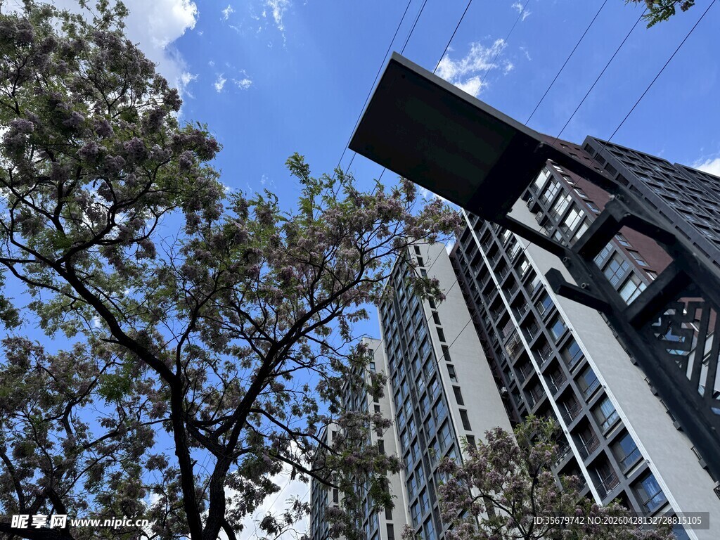 城市高楼与繁茂树木景观