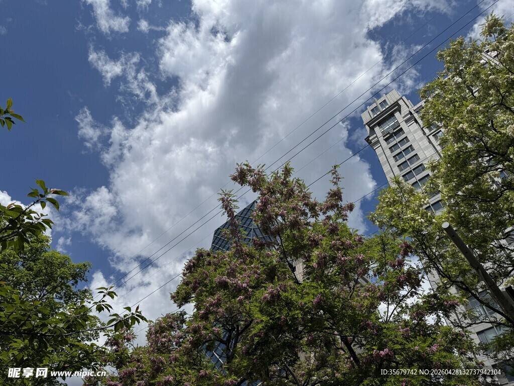 城市中蓝天白云绿树景观