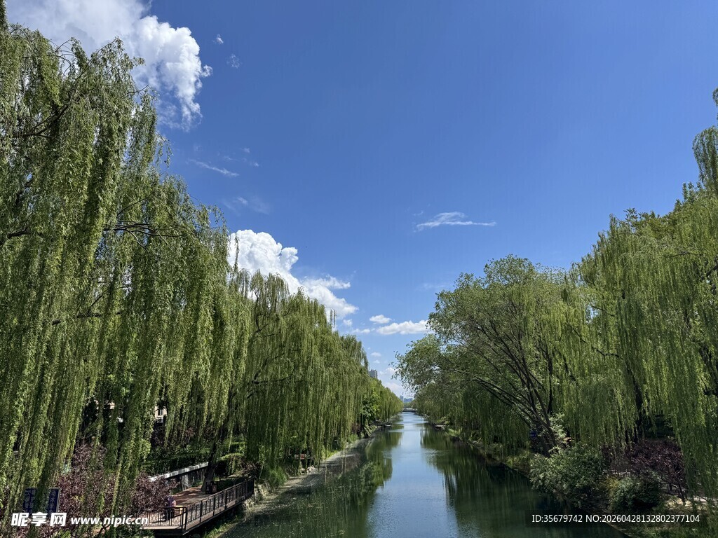 河畔垂柳映蓝天的美景