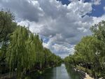 河畔垂柳蓝天白云美景