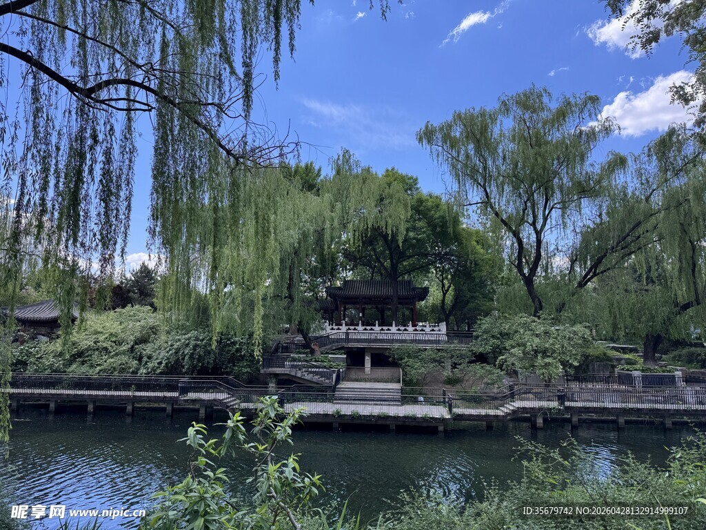 湖畔垂柳下的中式景致