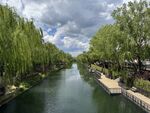 河畔垂柳映碧水美景