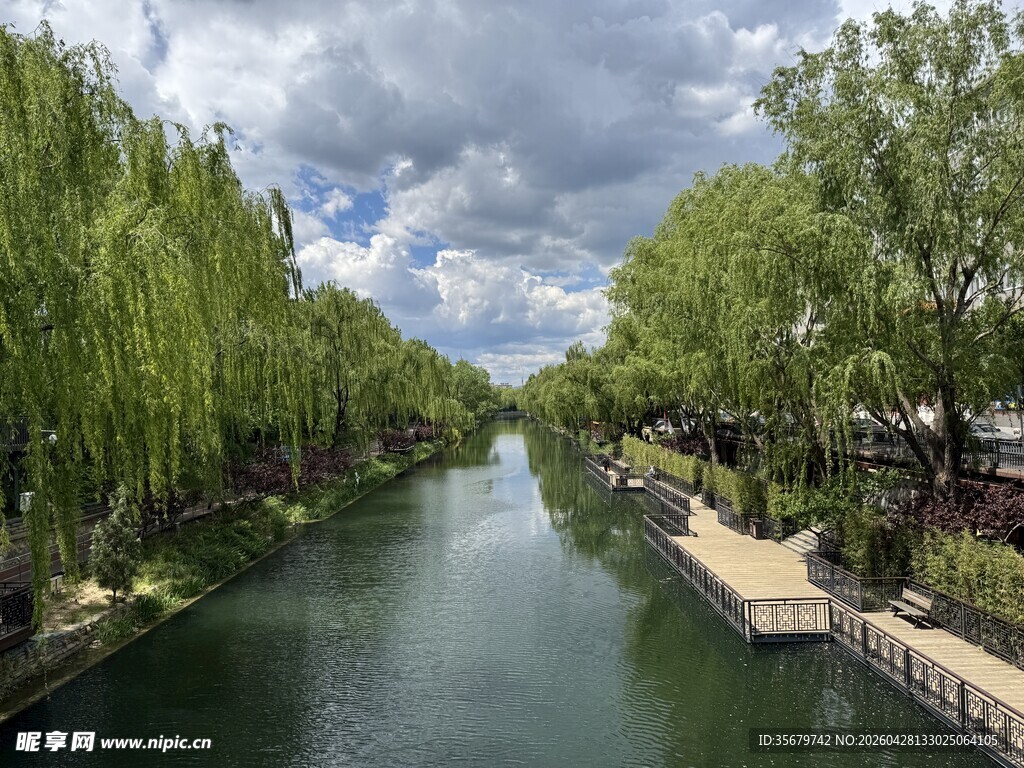 河畔垂柳映碧水美景