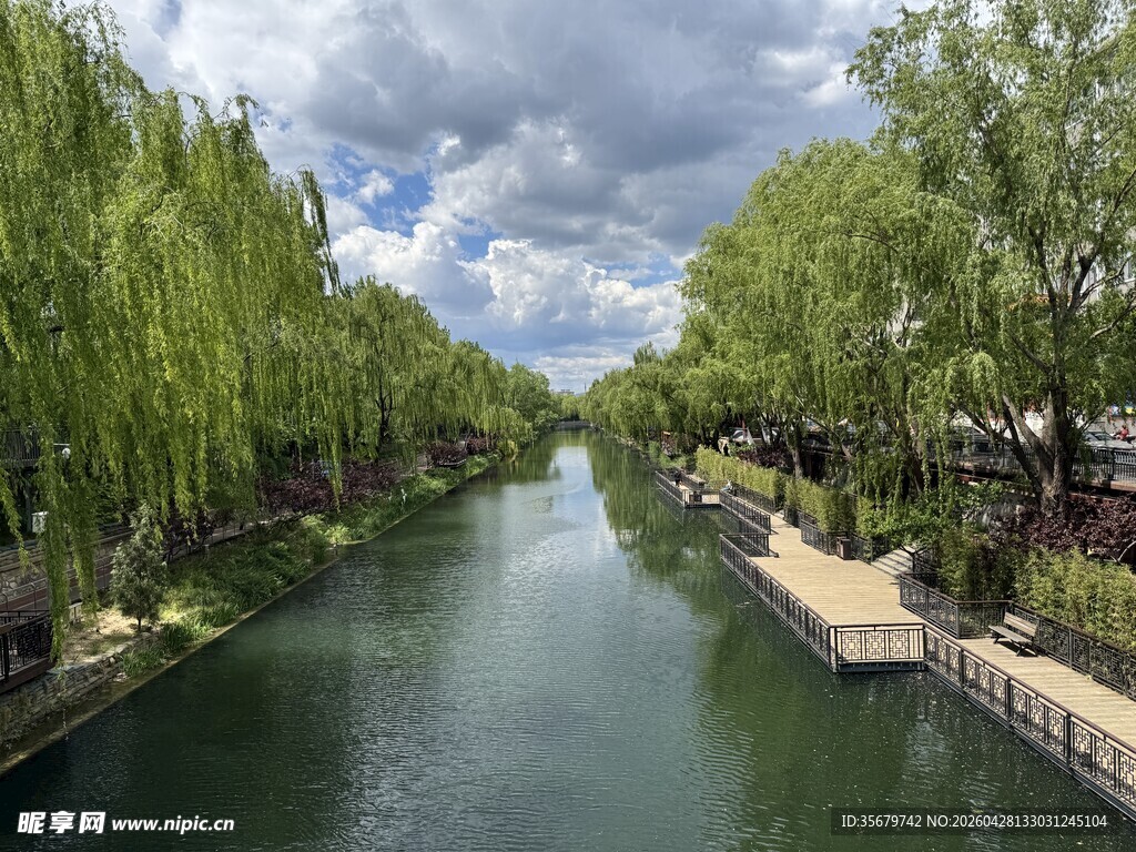 河畔柳岸风景