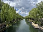 河畔垂柳静谧河道风光