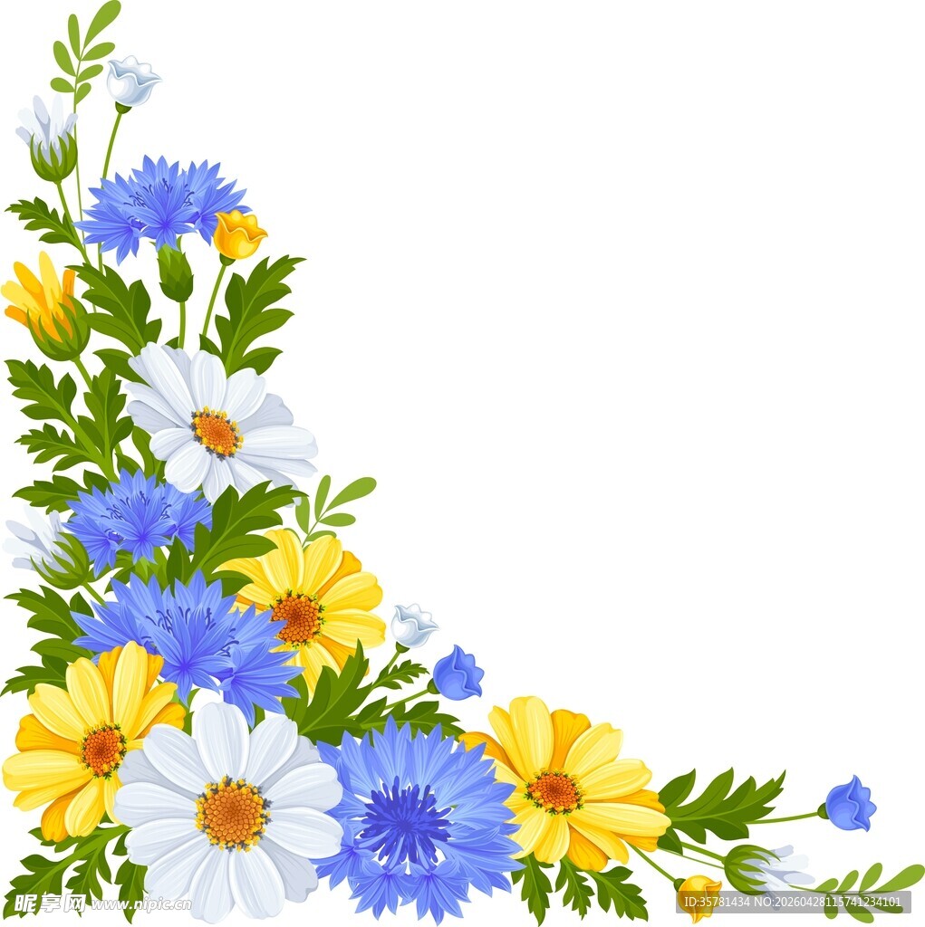 花卉角边素材